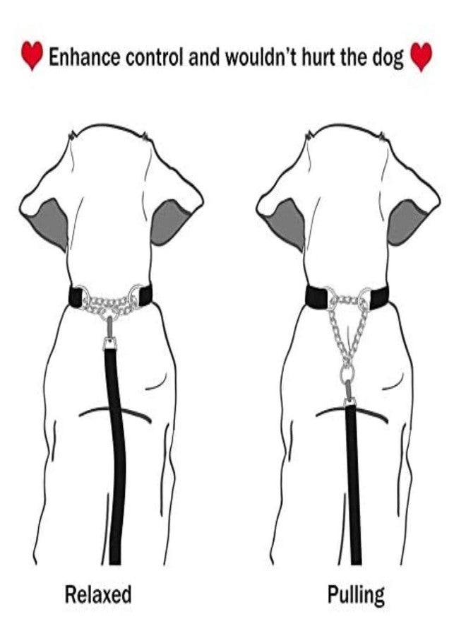 Petlicious & More Tough Nylon Made Choke Collar (Thick - 1.25 Inch, Neck Size 24" to 28" Inch) for Large & Giant Breed Dogs - Blue - Image 3